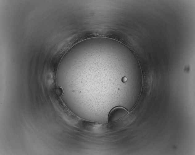 X0000111390130200907171255