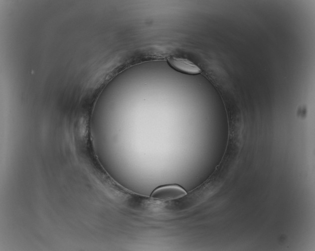 X0000111390131200907171255