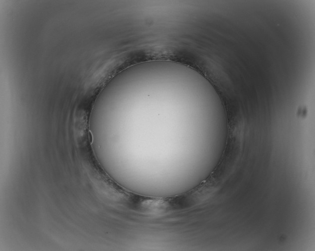 X0000111390133200907171255