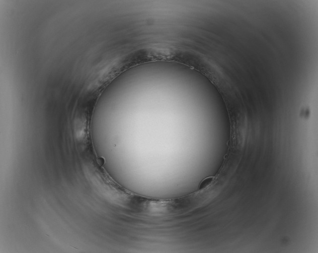 X0000111390134200907171255