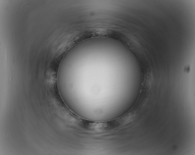 X0000111390135200907171255