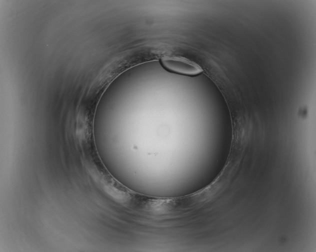 X0000111390136200907171255