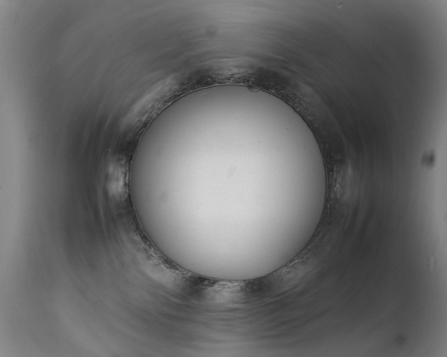 X0000111390138200907171255