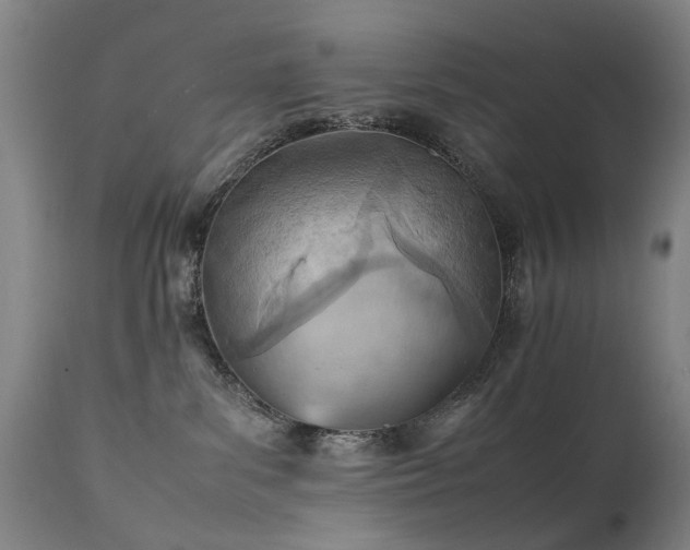 X0000111390139200907171255