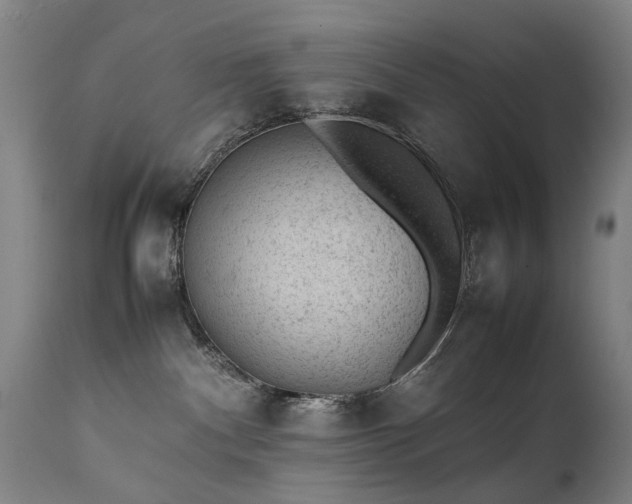 X0000111390140200907171255