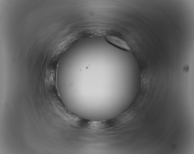 X0000111390141200907171255