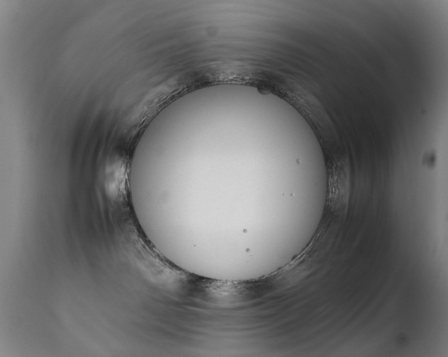 X0000111390142200907171255