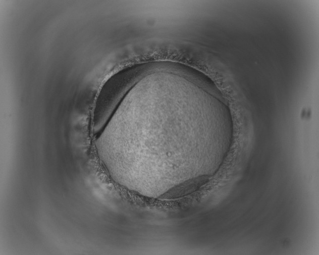 X0000111390144200907171255