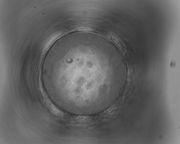 X0000111390145200907171254