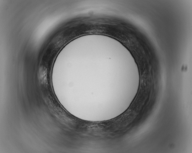 X0000111390146200907171254