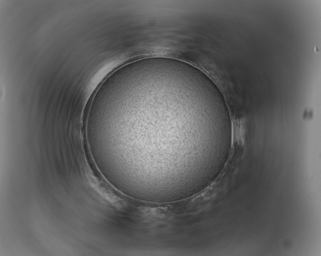 X0000111390147200907171254