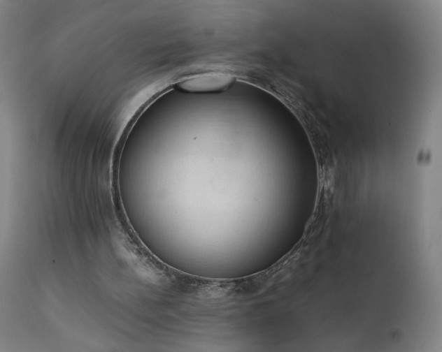 X0000111390148200907171254