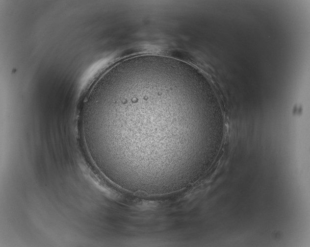 X0000111390149200907171254