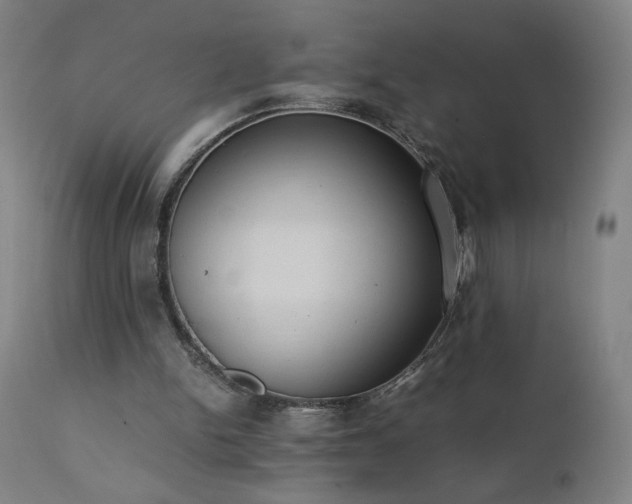 X0000111390150200907171254