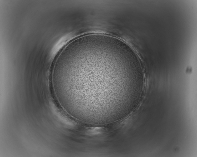 X0000111390151200907171254