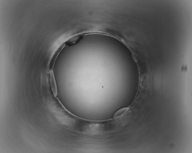 X0000111390152200907171254