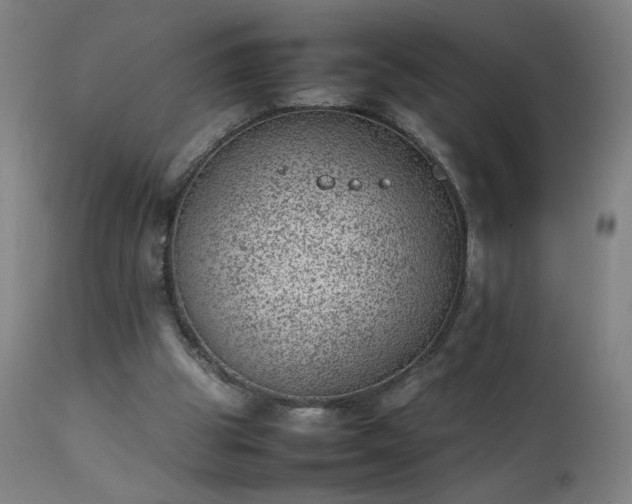 X0000111390153200907171254