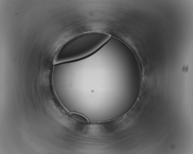 X0000111390154200907171254