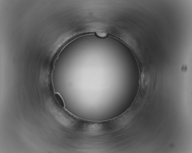 X0000111390156200907171254