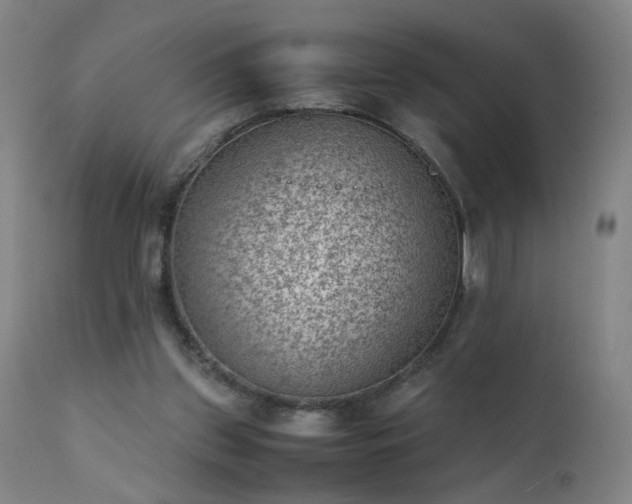 X0000111390157200907171254