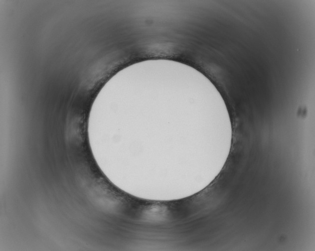 X0000111390162200907171255