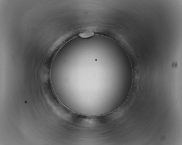 X0000111390164200907171255