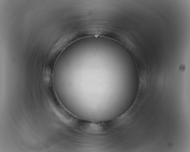 X0000111390166200907171255