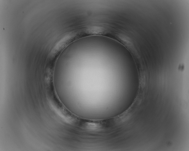 X0000111390167200907171255