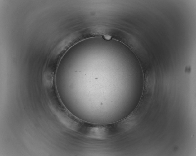 X0000111390168200907171255