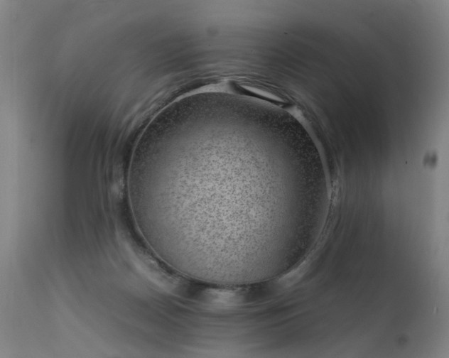 X0000111390170200907171255