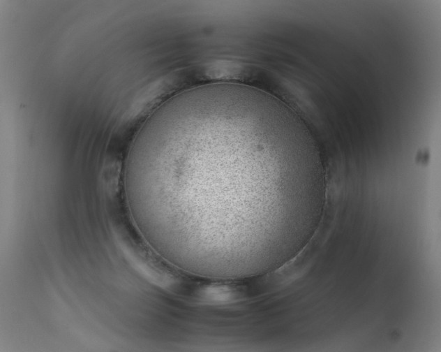 X0000111390171200907171255