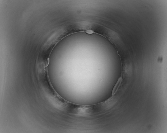 X0000111390172200907171255