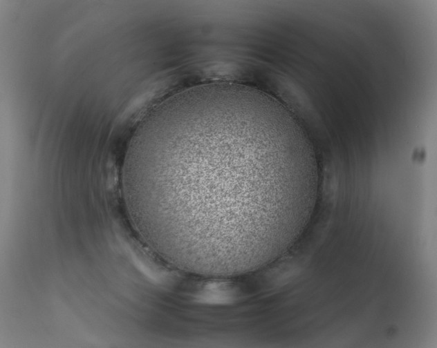 X0000111390173200907171255