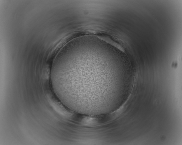 X0000111390174200907171255