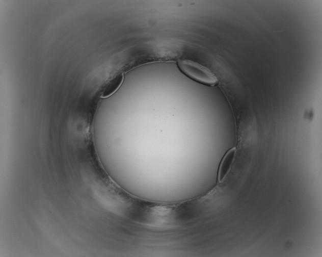 X0000111390176200907171255