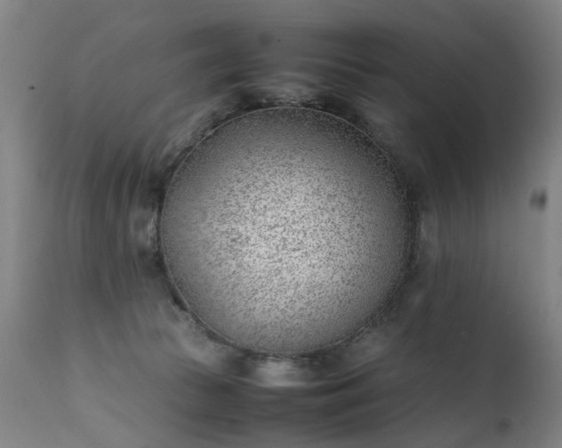 X0000111390177200907171255