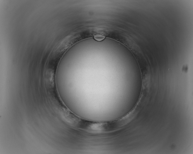 X0000111390178200907171255