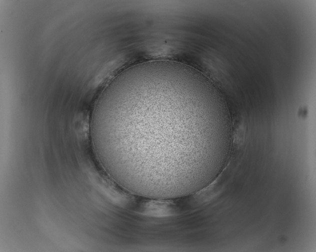 X0000111390179200907171255