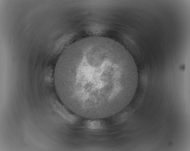 X0000111390181200907171255