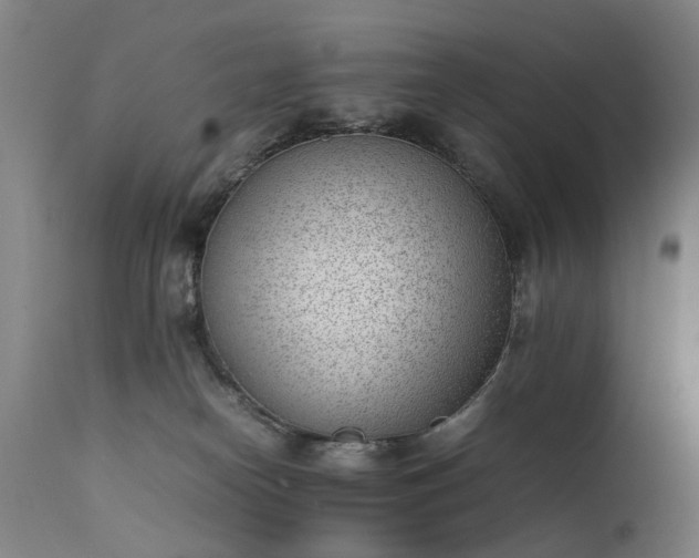 X0000111390182200907171255