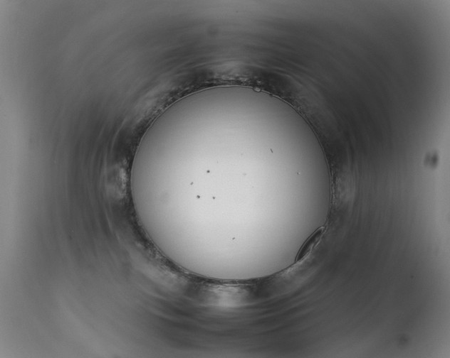 X0000111390183200907171255