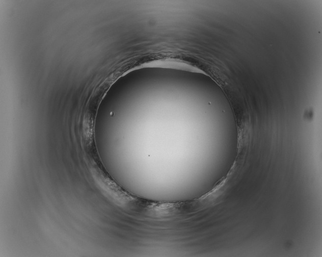 X0000111390186200907171255