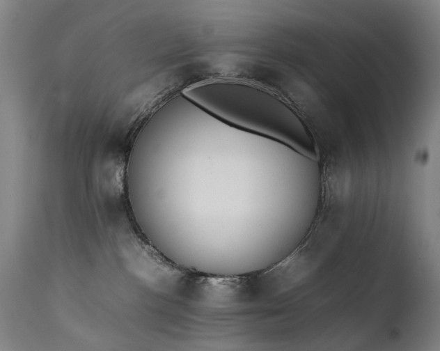 X0000111390188200907171255