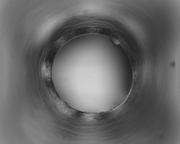 X0000111390190200907171255