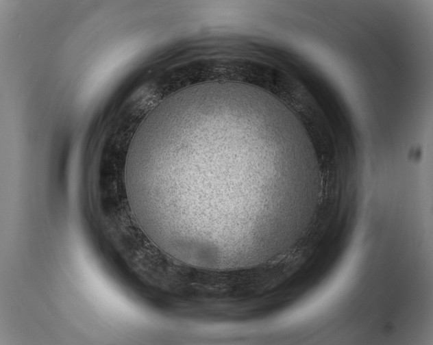 X0000111390191200907171255