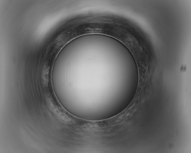 X0000111390194200907171254