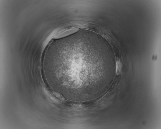 X0000111390195200907171254