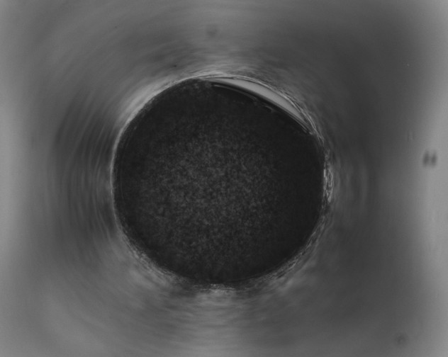 X0000111390196200907171254