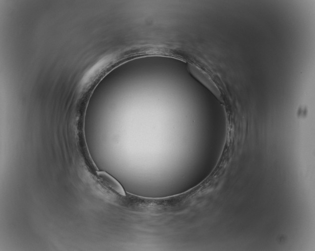 X0000111390197200907171254