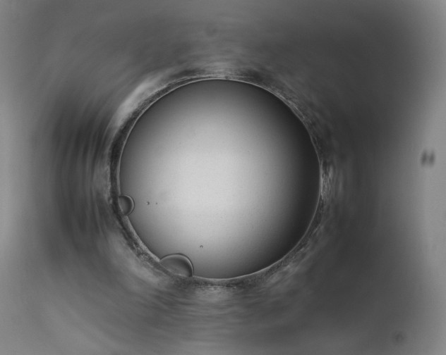 X0000111390198200907171254